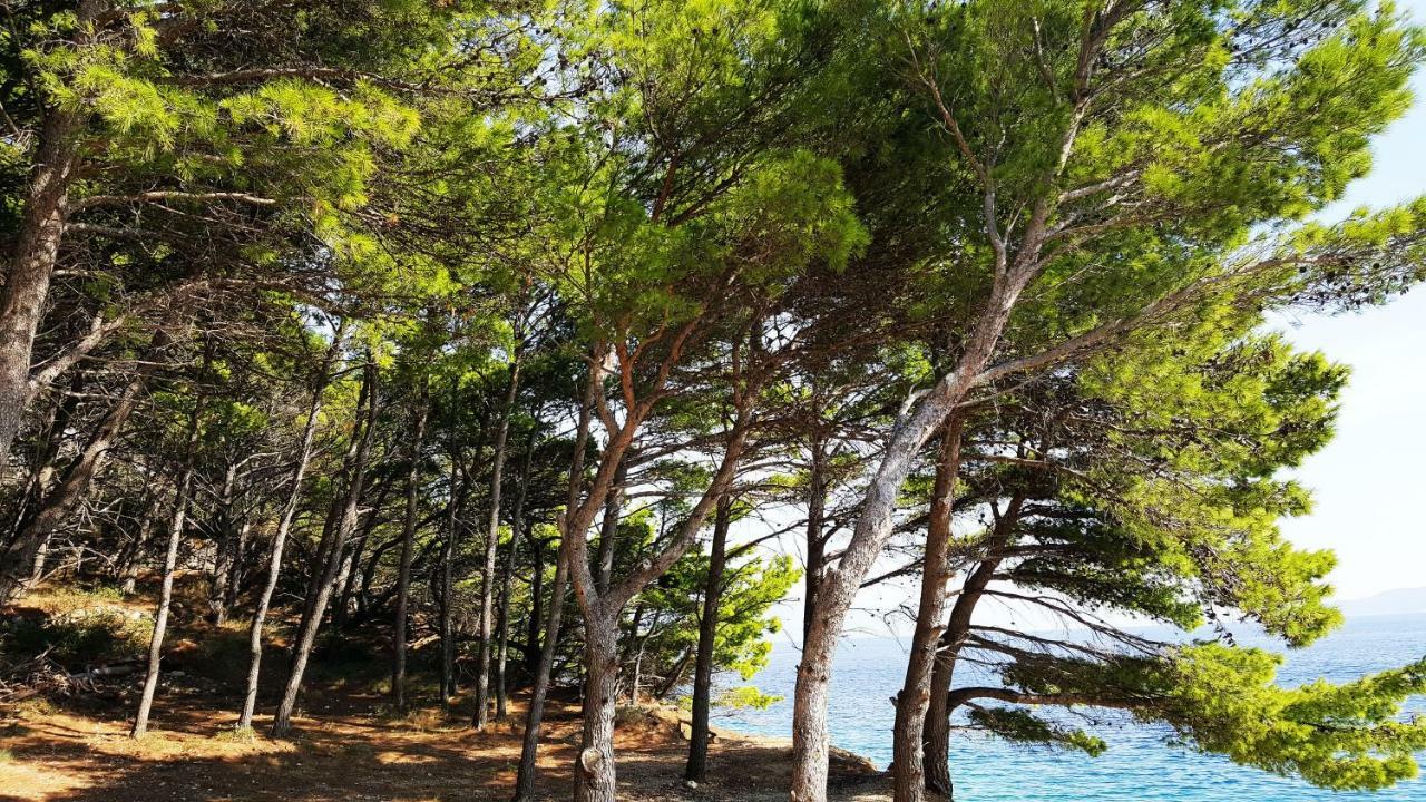מימיצה Sea Panorama Villa מראה חיצוני תמונה